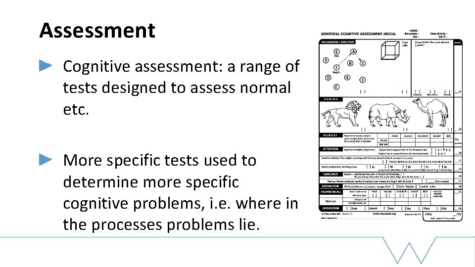 Assessment Cognitive assessment: a range of tests designed to assess normal etc. More specific