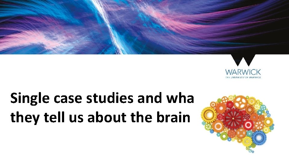 Single case studies and what they tell us about the brain 