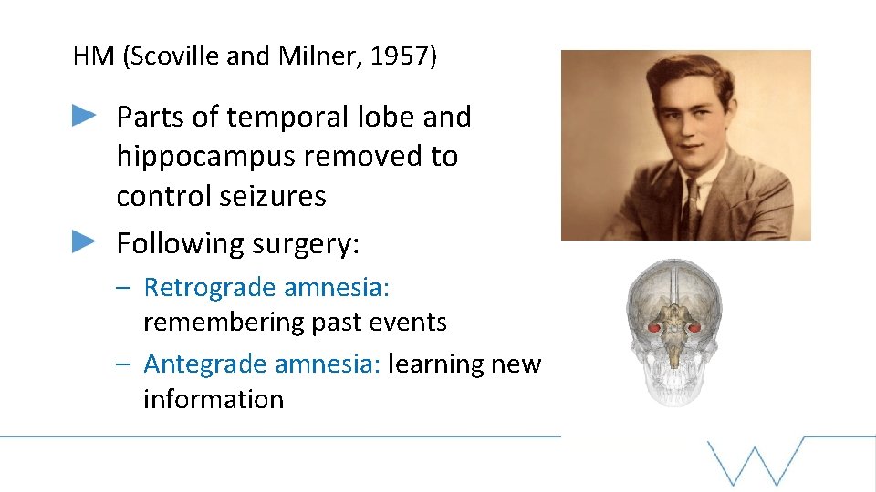 HM (Scoville and Milner, 1957) Parts of temporal lobe and hippocampus removed to control