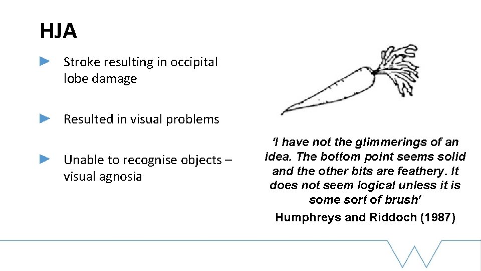 HJA Stroke resulting in occipital lobe damage Resulted in visual problems Unable to recognise