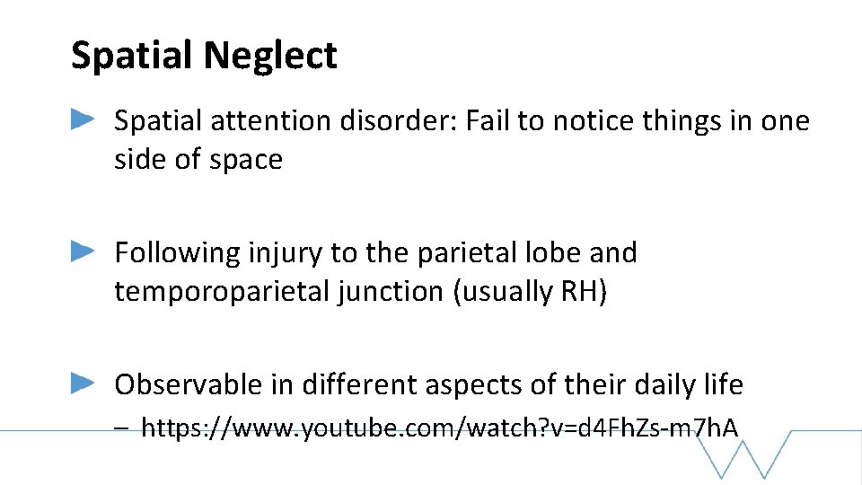 Spatial Neglect Spatial attention disorder: Fail to notice things in one side of space