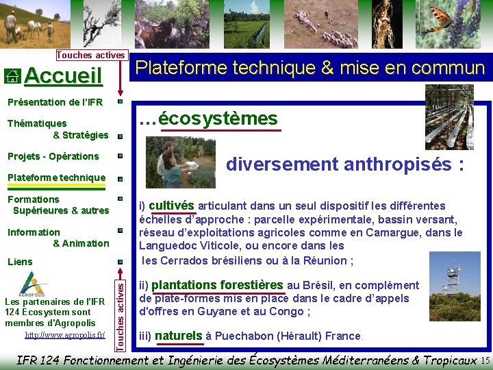 Touches actives Accueil Présentation de l’IFR …écosystèmes Thématiques & Stratégies Projets - Opérations diversement