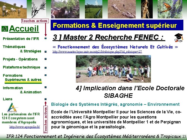 Touches actives Accueil Formations & Enseignement supérieur 3 ] Master 2 Recherche FENEC :