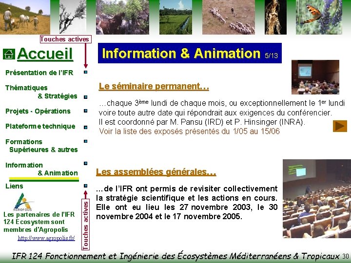 Touches actives Accueil Information & Animation 5/13 Présentation de l’IFR Le séminaire permanent… Thématiques