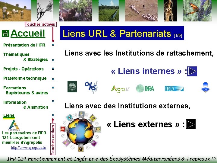 Touches actives Accueil Liens URL & Partenariats [1/5] Présentation de l’IFR Liens avec les