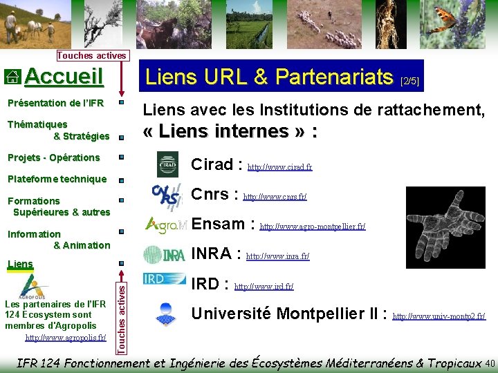 Touches actives Accueil Liens URL & Partenariats [2/5] Présentation de l’IFR Liens avec les