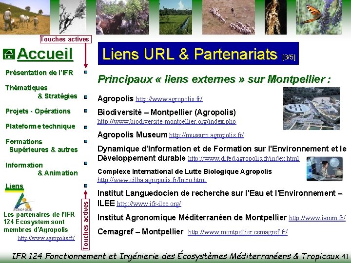 Touches actives Accueil Liens URL & Partenariats [3/5] Présentation de l’IFR Principaux « liens