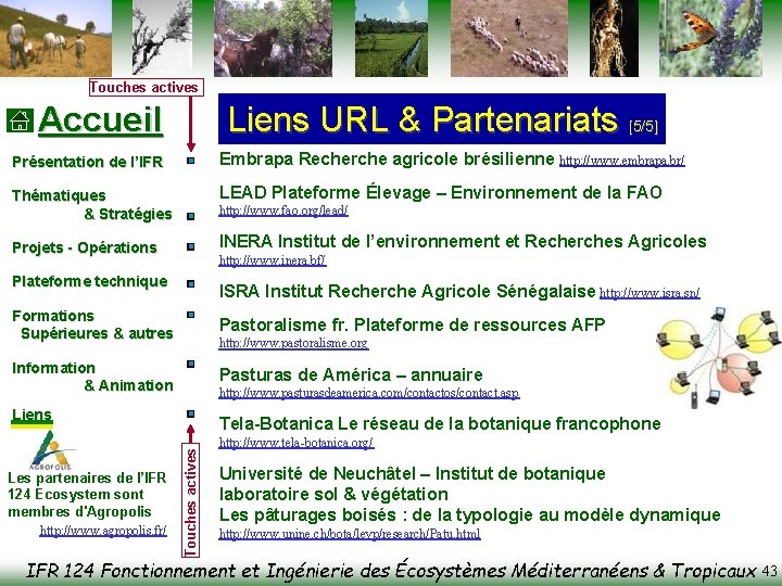 Touches actives Accueil Liens URL & Partenariats [5/5] Présentation de l’IFR Embrapa Recherche agricole