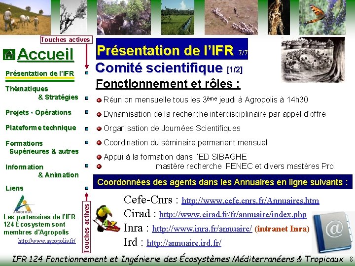 Touches actives Accueil Présentation de l’IFR 7/7 Comité scientifique [1/2] Fonctionnement et rôles :