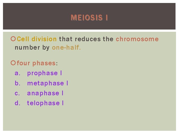 MEIOSIS I Cell division that reduces the chromosome number by one-half. four phases: phases