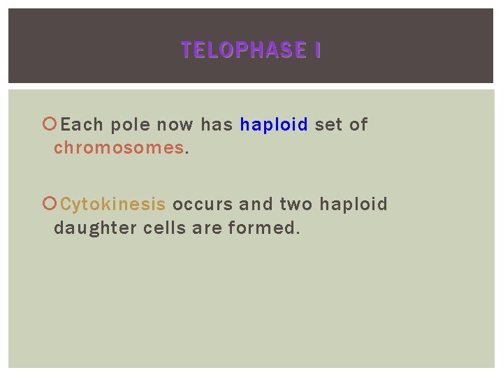 TELOPHASE I Each pole now has haploid set of chromosomes Cytokinesis occurs and two