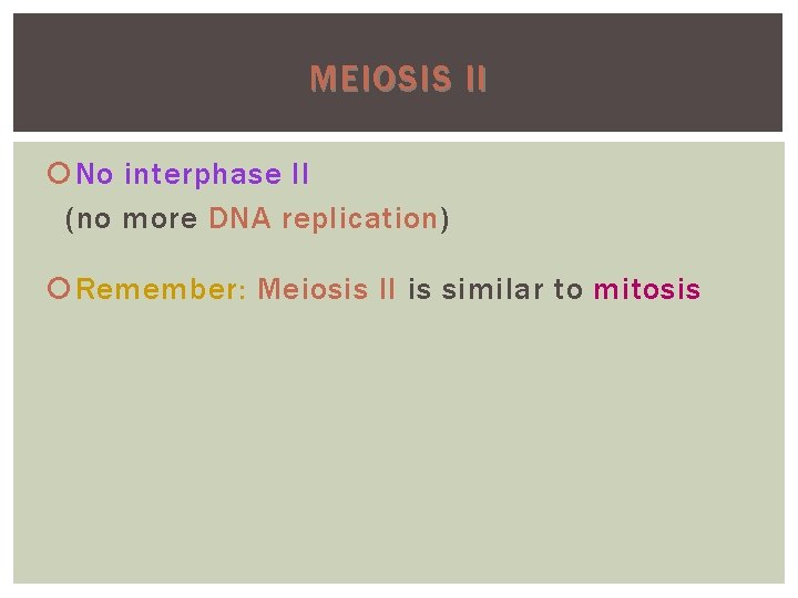 MEIOSIS II No interphase II (no more DNA replication) replication Remember: Meiosis II is MEIOSIS II No interphase II (no more DNA replication) replication Remember: Meiosis II is