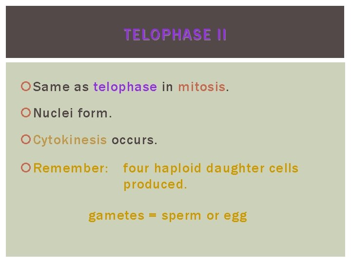 TELOPHASE II Same as telophase in mitosis Nuclei form. Cytokinesis occurs. Remember: four haploid TELOPHASE II Same as telophase in mitosis Nuclei form. Cytokinesis occurs. Remember: four haploid