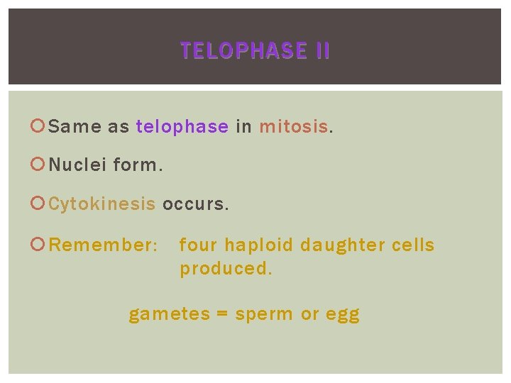 TELOPHASE II Same as telophase in mitosis Nuclei form. Cytokinesis occurs. Remember: four haploid