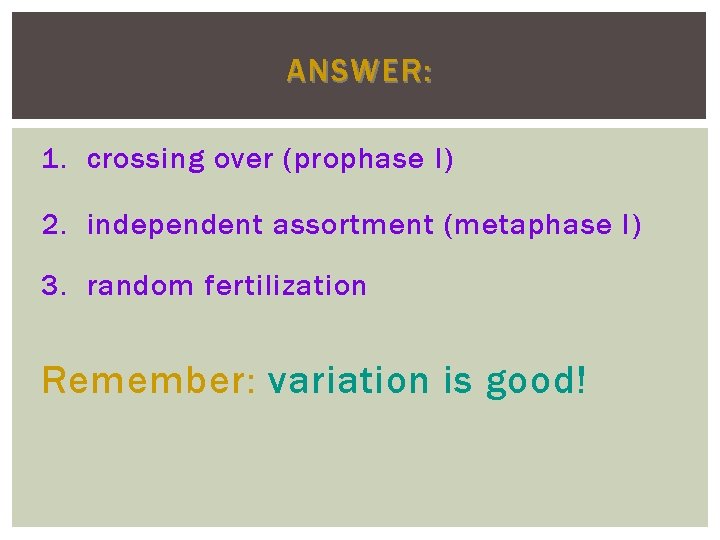 ANSWER: 1. crossing over (prophase I) 2. independent assortment (metaphase I) 3. random fertilization