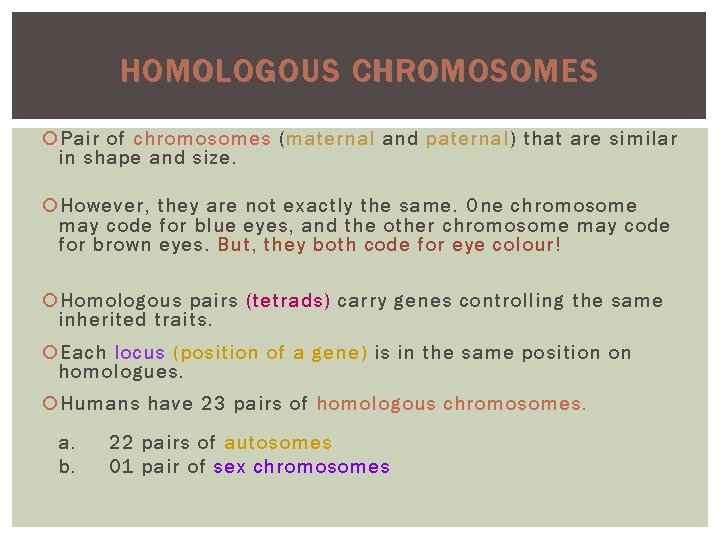 HOMOLOGOUS CHROMOSOMES Pair of chromosomes ( maternal and paternal) paternal that are similar in