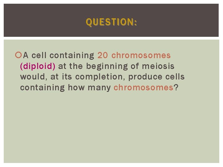 QUESTION: A cell containing 20 chromosomes (diploid) at the beginning of meiosis would, at QUESTION: A cell containing 20 chromosomes (diploid) at the beginning of meiosis would, at