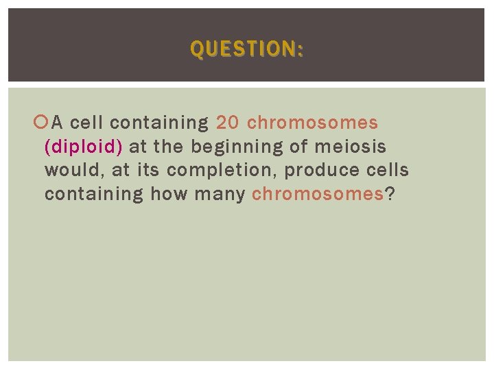 QUESTION: A cell containing 20 chromosomes (diploid) at the beginning of meiosis would, at