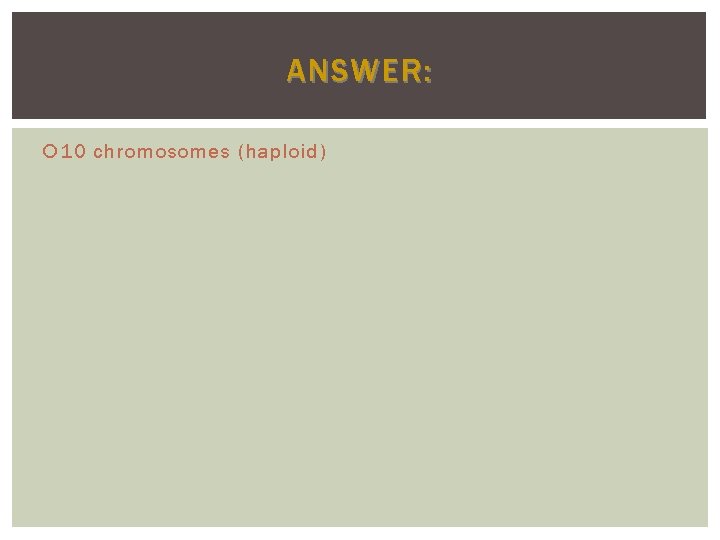 ANSWER: 10 chromosomes (haploid) 