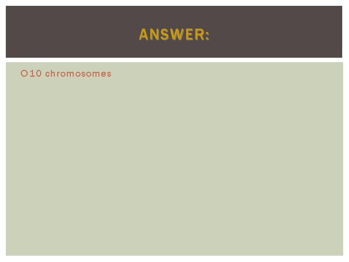 ANSWER: 10 chromosomes ANSWER: 10 chromosomes