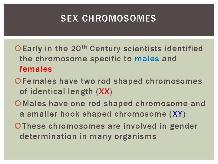 SEX CHROMOSOMES Early in the 20 th Century scientists identified the chromosome specific to SEX CHROMOSOMES Early in the 20 th Century scientists identified the chromosome specific to