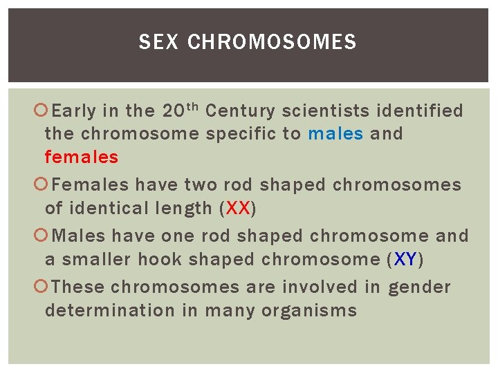 SEX CHROMOSOMES Early in the 20 th Century scientists identified the chromosome specific to