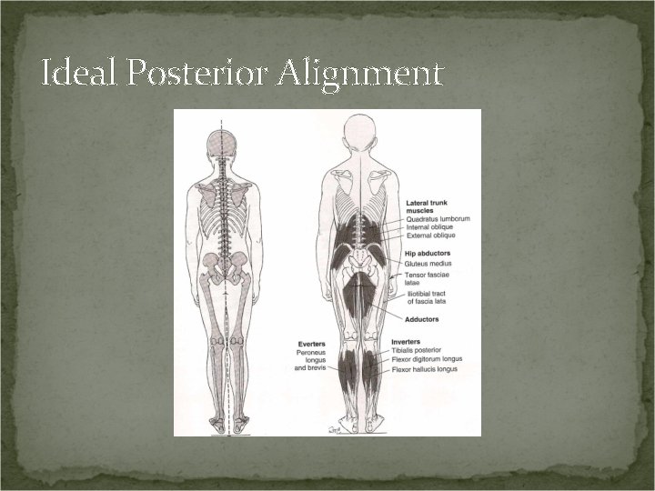 Ideal Posterior Alignment 