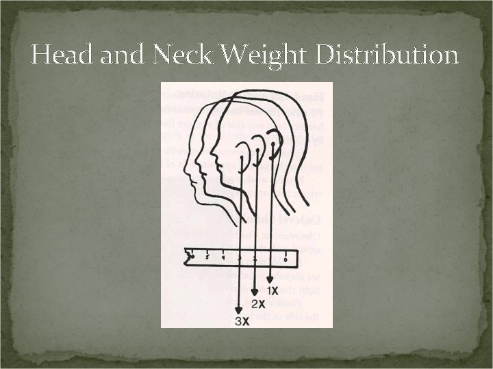 Head and Neck Weight Distribution 