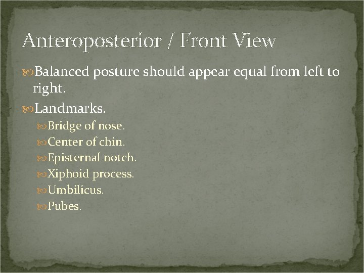 Anteroposterior / Front View Balanced posture should appear equal from left to right. Landmarks.