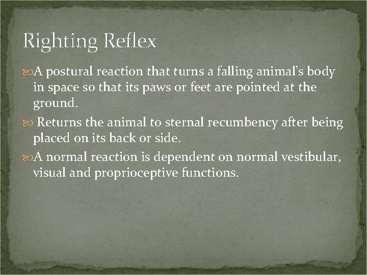Righting Reflex A postural reaction that turns a falling animal's body in space so