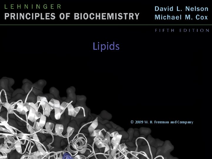 Lipids © 2009 W. H. Freeman and Company 