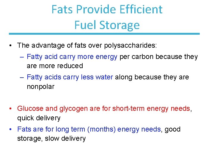 Fats Provide Efficient Fuel Storage • The advantage of fats over polysaccharides: – Fatty