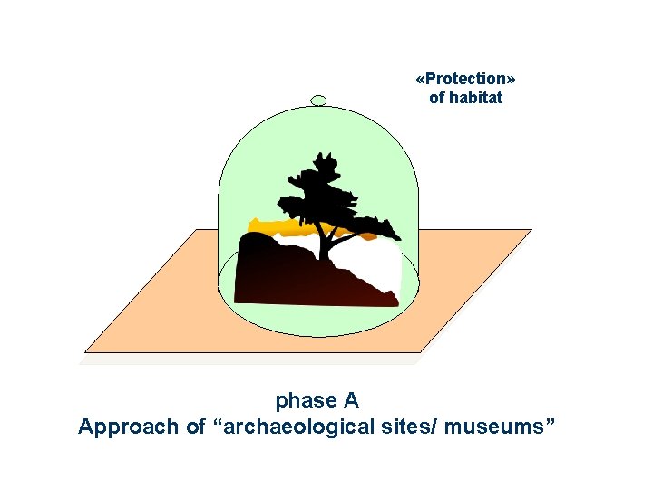  «Protection» of habitat phase Α Approach of “archaeological sites/ museums” 