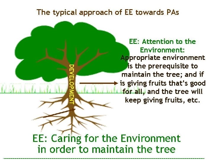 FROM DEVELOPMENT Appropriate environment = the prerequisite to maintain the tree EE: Attention to