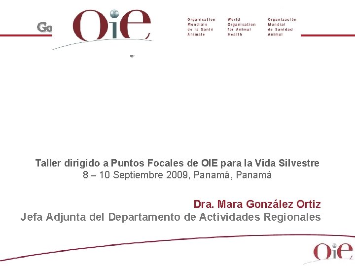 Gobernanza, Evaluación PVS de los Servicios Veterinarios y Análisis de Brechas Taller dirigido a