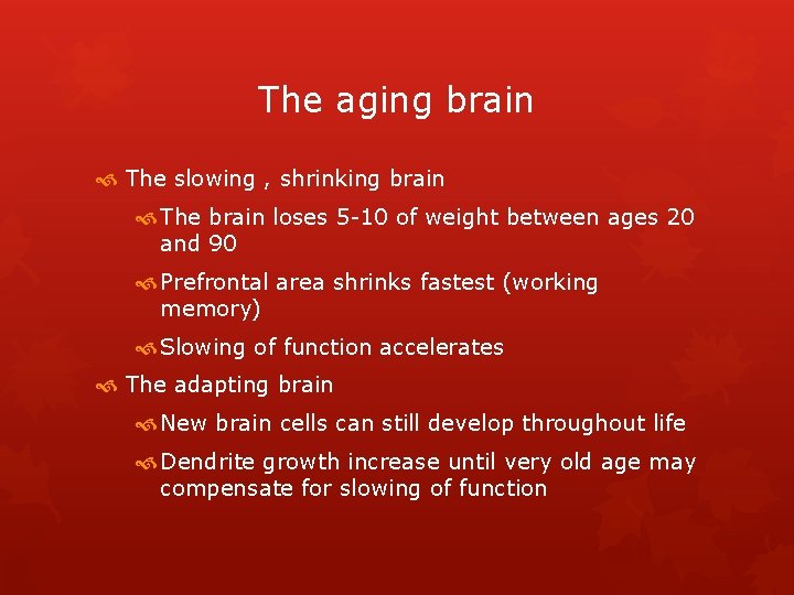 The aging brain The slowing , shrinking brain The brain loses 5 -10 of