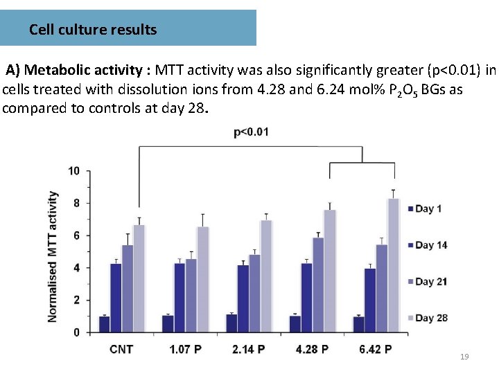 Cell culture results A) Metabolic activity : MTT activity was also significantly greater (p<0.