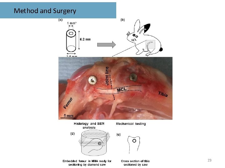 Method and Surgery 23 