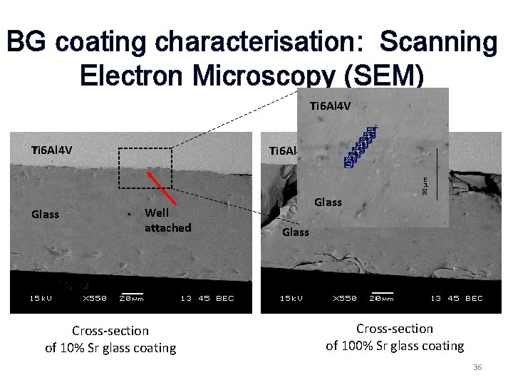 BG coating characterisation: Scanning Electron Microscopy (SEM) Ti 6 Al 4 V Glass Well