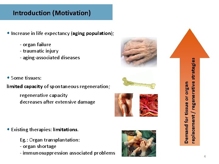 Introduction (Motivation) - organ failure - traumatic injury - aging-associated diseases • Some tissues: