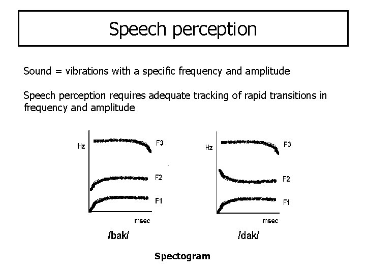 Relating Braille reading difficulties to developmental dyslexia first