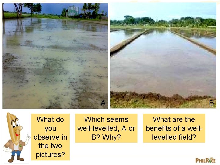 A What do you observe in the two pictures? Which seems well-levelled, A or