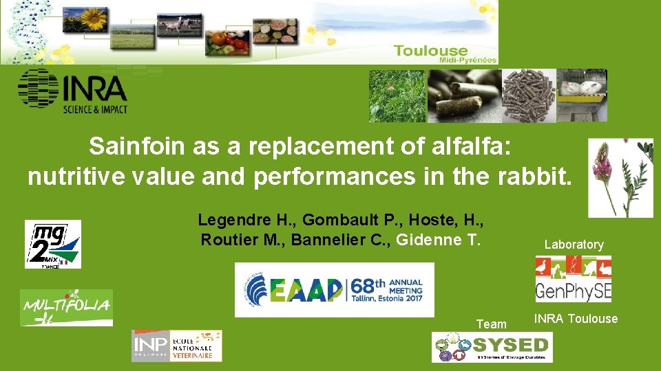 Sainfoin as a replacement of alfalfa: nutritive value and performances in the rabbit. Legendre Sainfoin as a replacement of alfalfa: nutritive value and performances in the rabbit. Legendre