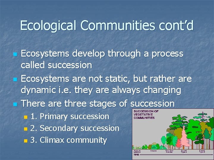 Ecological Communities cont’d n n n Ecosystems develop through a process called succession Ecosystems