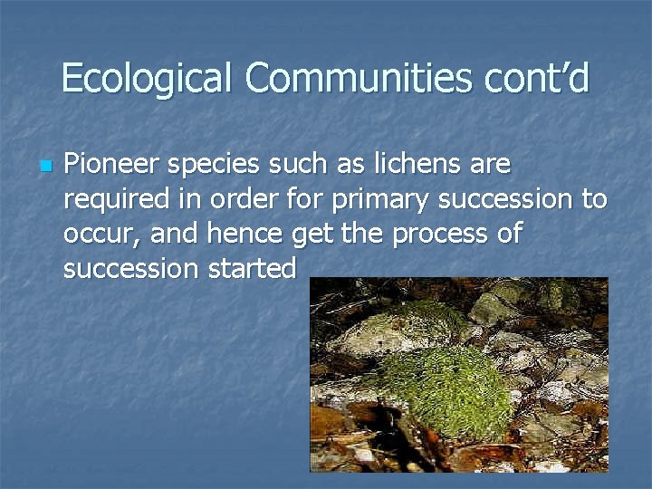 Ecological Communities cont’d n Pioneer species such as lichens are required in order for