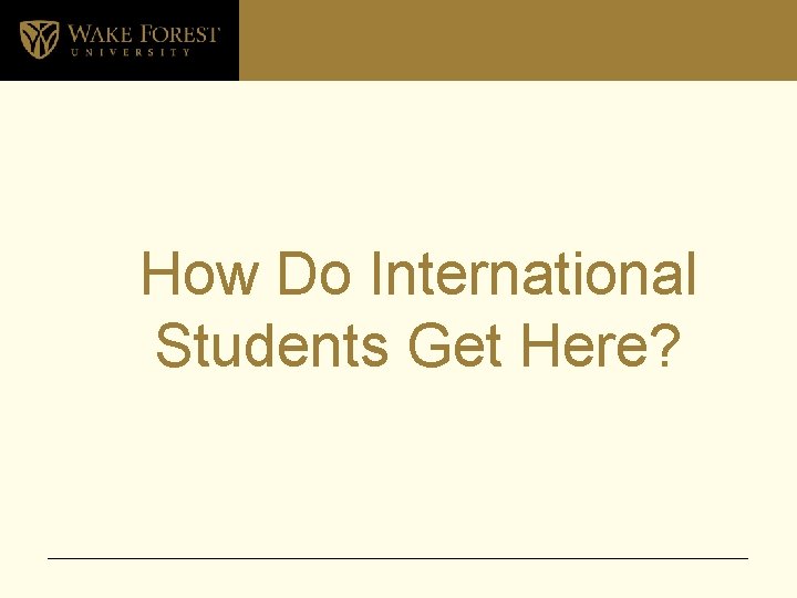 How Do International Students Get Here? 