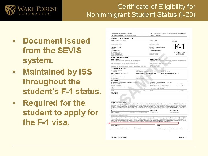 Certificate of Eligibility for Nonimmigrant Student Status (I-20) • Document issued from the SEVIS