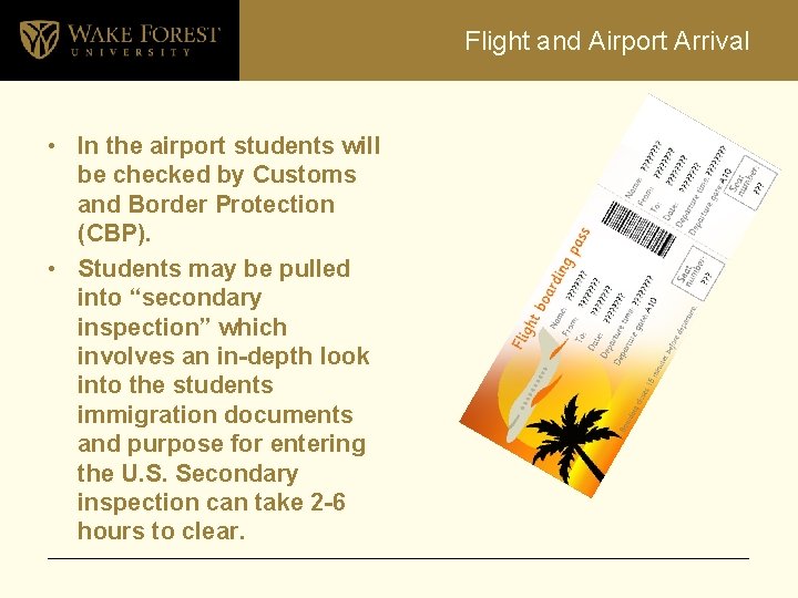 Flight and Airport Arrival • In the airport students will be checked by Customs