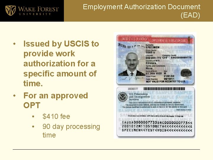 Employment Authorization Document (EAD) • Issued by USCIS to provide work authorization for a