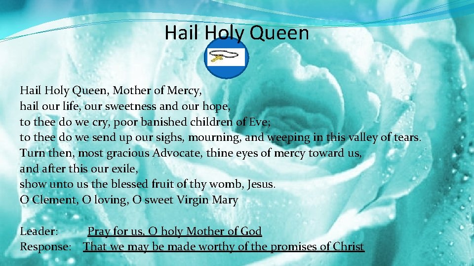 Hail Holy Queen, Mother of Mercy, hail our life, our sweetness and our hope,